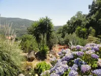 In Portugal, Algarve, large villa in Monchique, swimming pool, sauna, Jacuzzi Hotels in Monchique