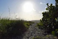 New Beach Condo Steps From The Ocean