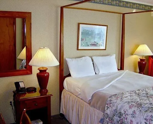 West Road Motel - Pet friendly