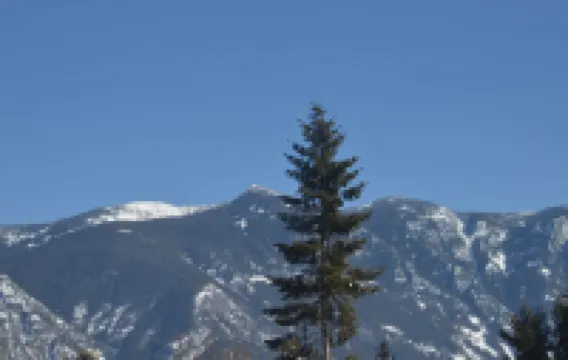 斯基摩霍恩酒店