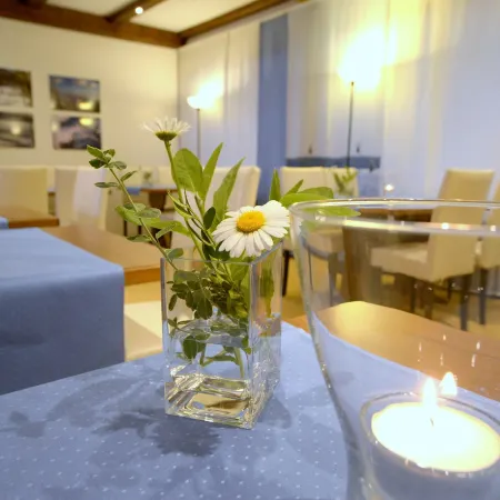 Hotel Garni Belvedere, Das Bio Hotel & SuiteHotel am Ederse