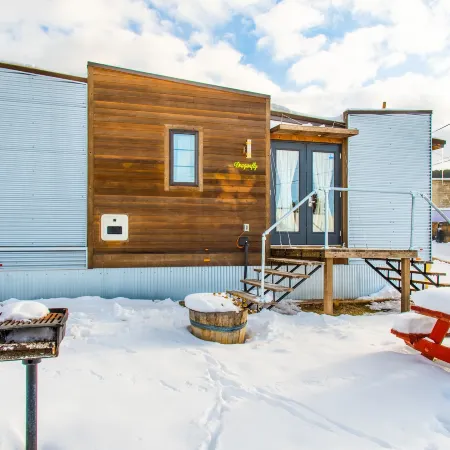 Tiny House Leadville Colorado