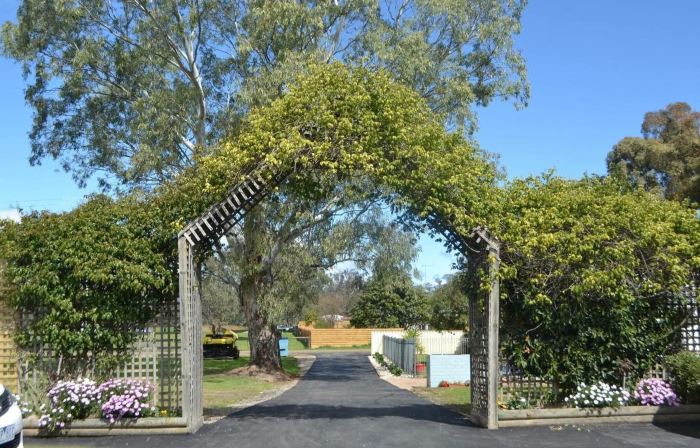 Wattle Motel