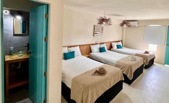 Hotel Boutique Cacao Cozumel