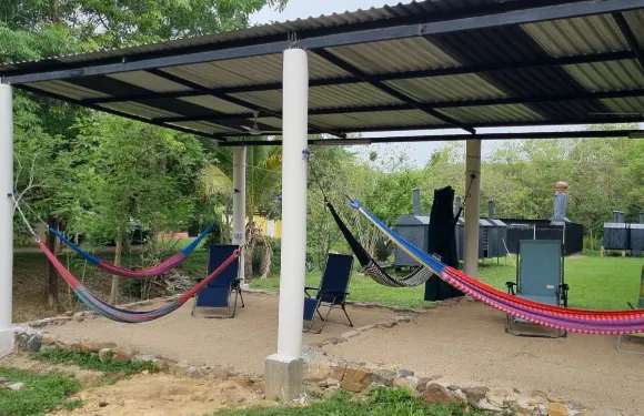 森林公園露營地