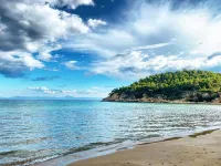 Alonissos Beach Bungalows and Suites Hotel - Beach