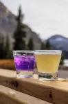 The Lodge at Bow Lake - Barer