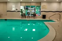 Hampton Inn Richmond-South - Swimmingpools