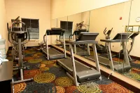 Holiday Inn Express & Suites BLOOMINGTON - NORMAL by IHG - Træningscentre