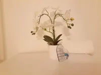 Cozy 2Br Home Leeds Free Parking & Wifi Pets Welcome