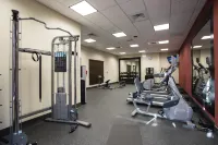 Hilton Garden Inn Bolingbrook - Gym