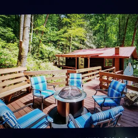 Charming 2-bedroom cabin with WiFi, AC in enchanting Blairsville