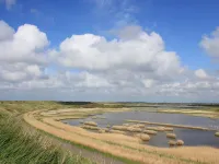 103 C new vacation home with sauna from July 2024 韋斯特佩勒酒店