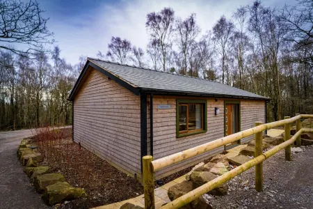 Ashenhurst; woodland lodge for 4 with hot tub, BBQ, near Alton Towers.