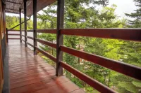 Villa Sara in Sinaia near Peles & Gondola