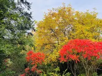 Vacation cottage Schott Prichsenstadt Hotels in Prichsenstadt