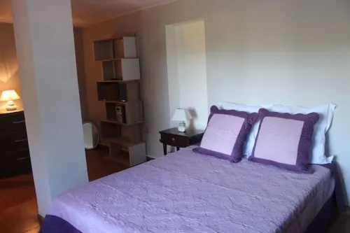 South Corsica apartment with swimming pool, near the beaches