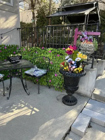 Charming 2-bedroom bacement with WiFi, AC in enjoyable Murray