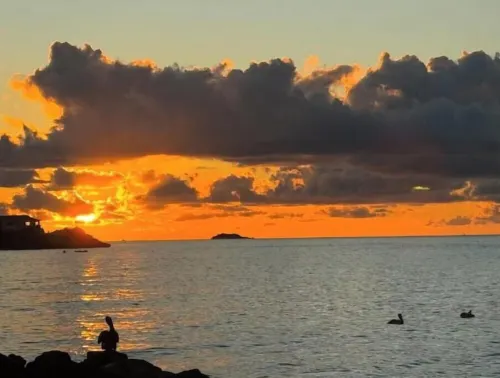 Ocean Garden Studio 2 Hotels in Cedar Grove