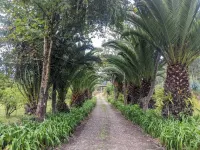 Quiet place in the country Hotels in Ibarra
