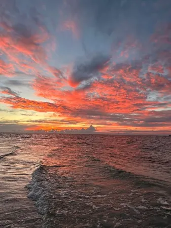 Fantastic 4-bedroom house with AC and heating pool  in Bradenton