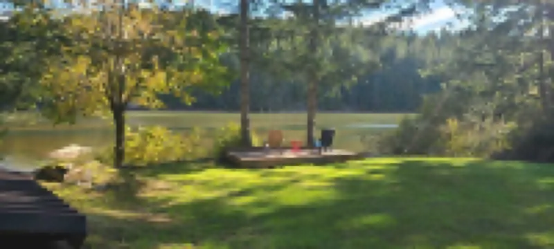 Oceanfront Private Peaceful Cabin on an Acre