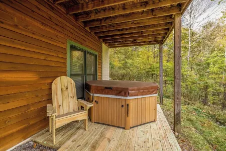 Hideout near Snowshoe, WV