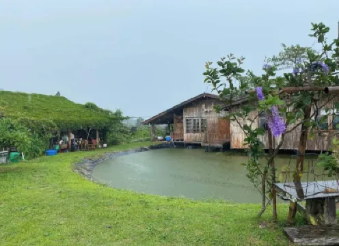 ลุงโอ่งโฮม เขาค้อ โรงแรมใกล้Khao Kho