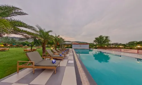 斯普里度假村薩里斯卡