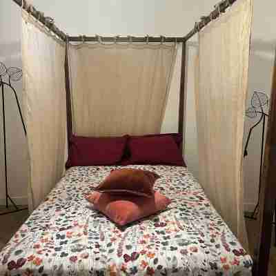 Beautiful renovated apartment in the heart of Carpentras Rooms