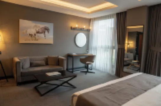 โรงแรมออนเซเว่นซาการ์ยา โรงแรมใน