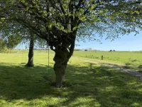 6 person holiday home in Bedsted Thy-By Traum Hotels in Bedsted Thy