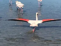 Bright Apartment Near the Sea