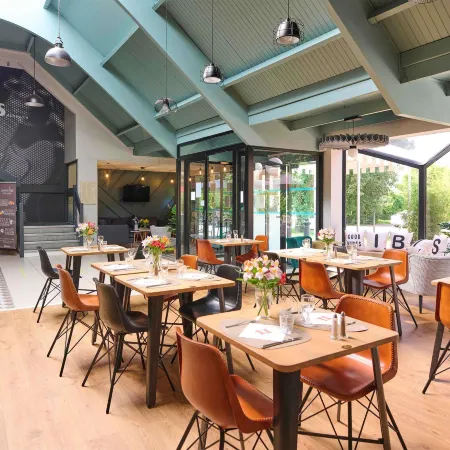 Ibis Abbeville