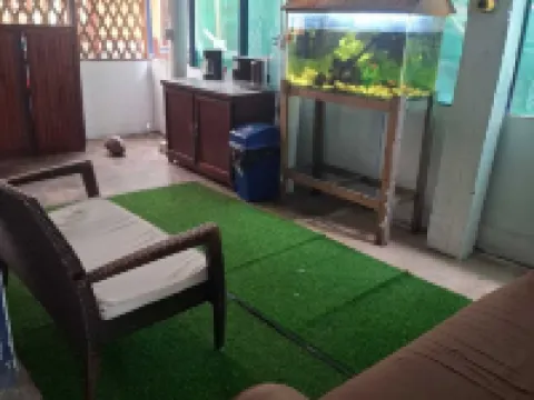 Cabinas Tortuguero Natural Hotels in Colorado