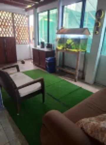 Cabinas Tortuguero Natural