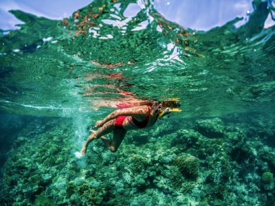 ホテル周辺 リクソス シャルム エル シェイク ウルトラ オール インクルーシブの写真