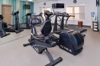Holiday Inn Express & Suites ST. LOUIS WEST-O'FALLON by IHG - Gym