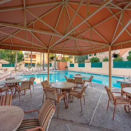 Orange Tree Resort