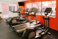 Holiday Inn Express TORREON by IHG - Gym