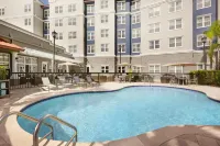 Residence Inn Tampa Suncoast Parkway at NorthPointe Village - Pools