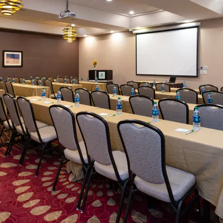 Holiday Inn AMARILLO WEST MEDICAL CENTER by IHG