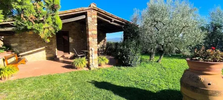 Farmhouse in Tuscany with Olive Grove Views