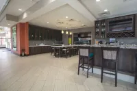 Hilton Garden Inn Bolingbrook - bar