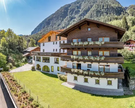Seehüter's Hotel Seerose Hotels in Oetz