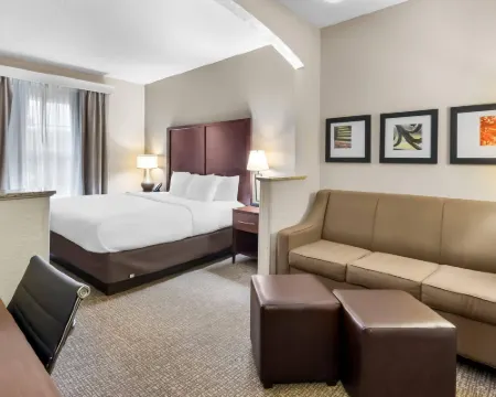 コンフォート スイーツ サムター ニア ショー エアフォースベース サムターのホテル