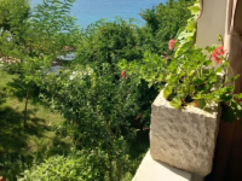 Guest House Green Corner Supetarska Draga Hotels in Rab