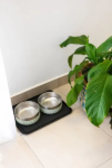 Apartamento Deluxe Novo