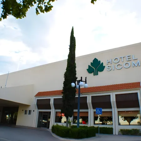 Hotel Sicomoro