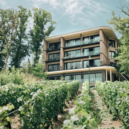 Loisium Wine & Spa Hotel Champagne